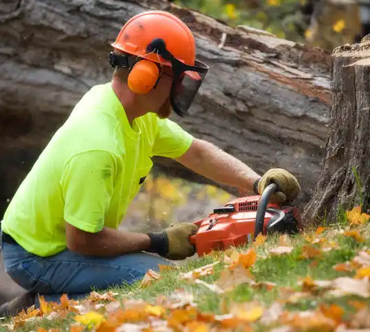 tree services Brownlee Park